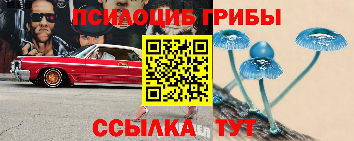 Псилоцибиновые грибы GOLDEN TEACHER Североуральск
